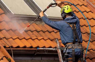 Démoussage et hydrofuge de toiture à Cosges